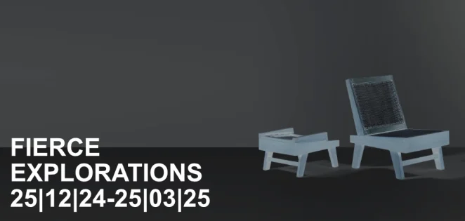 fierce-explorations-exhibition-pgalerie-zurich