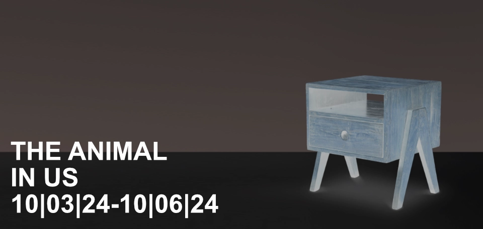 exhibition-the-animal-in-us-pgalerie-zurich